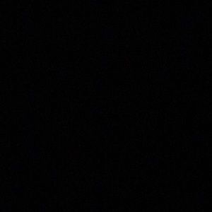 Meet your Posher, Jackson